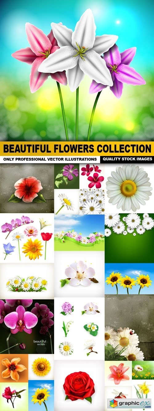 Beautiful Flowers Collection - 25 Vector