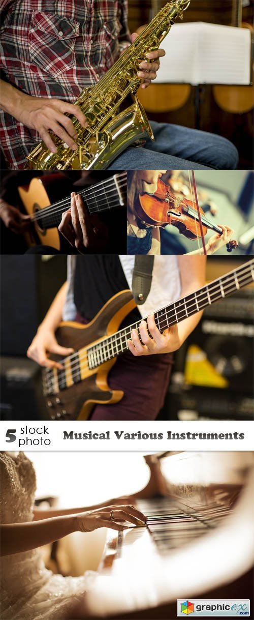 Photos - Musical Various Instruments