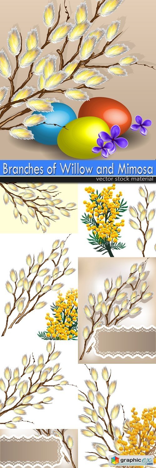 Branches of Willow and Mimosa