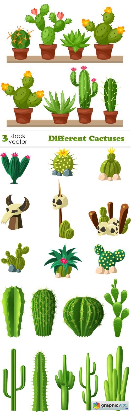 Vectors - Different Cactuses