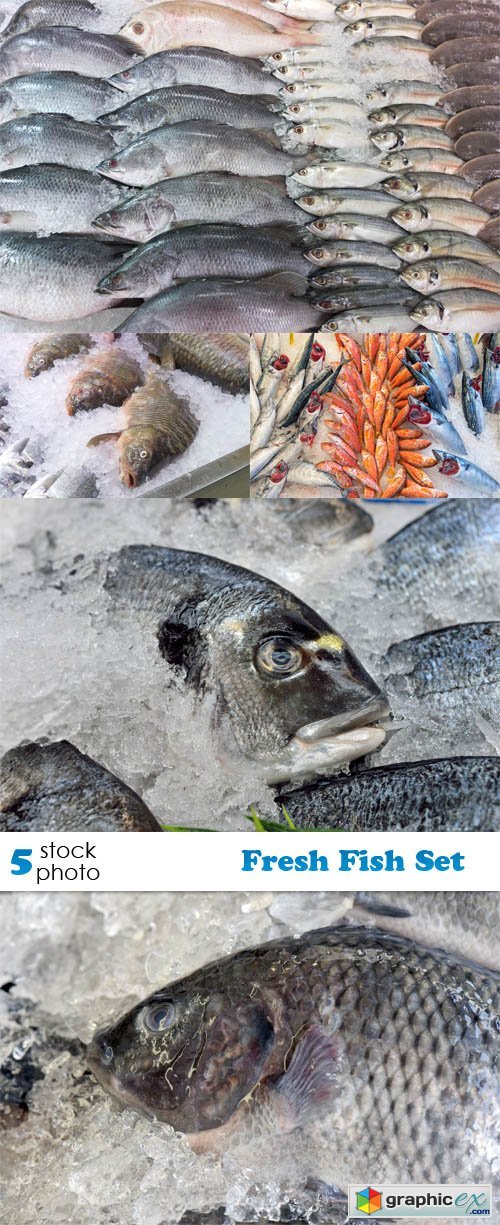 Photos - Fresh Fish Set