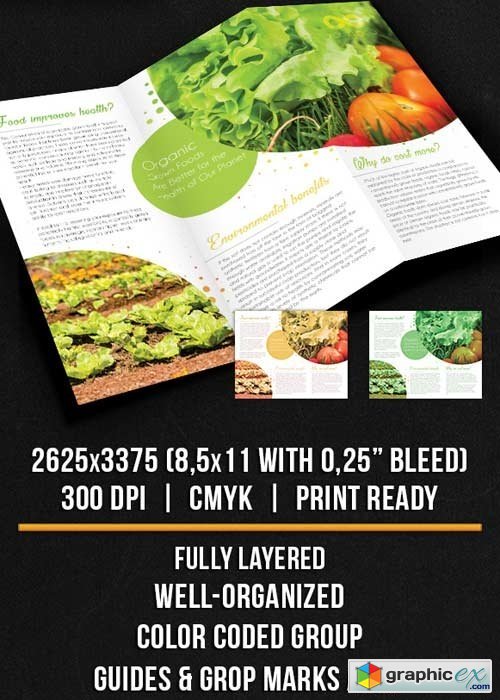 Organic Food  Tri-Fold Brochure PSD Template