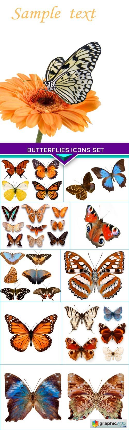 Butterflies icons set 10x JPEG