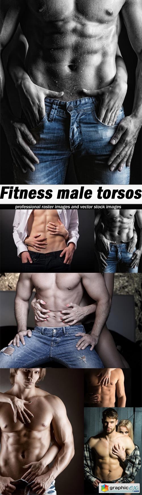 Fitness male torsos