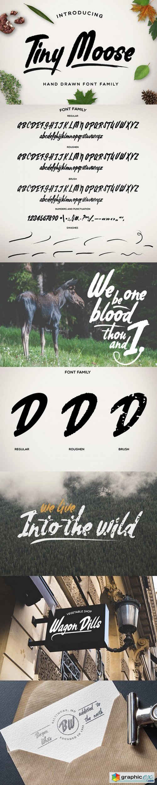 Tiny Moose [Font Family + Swashes]