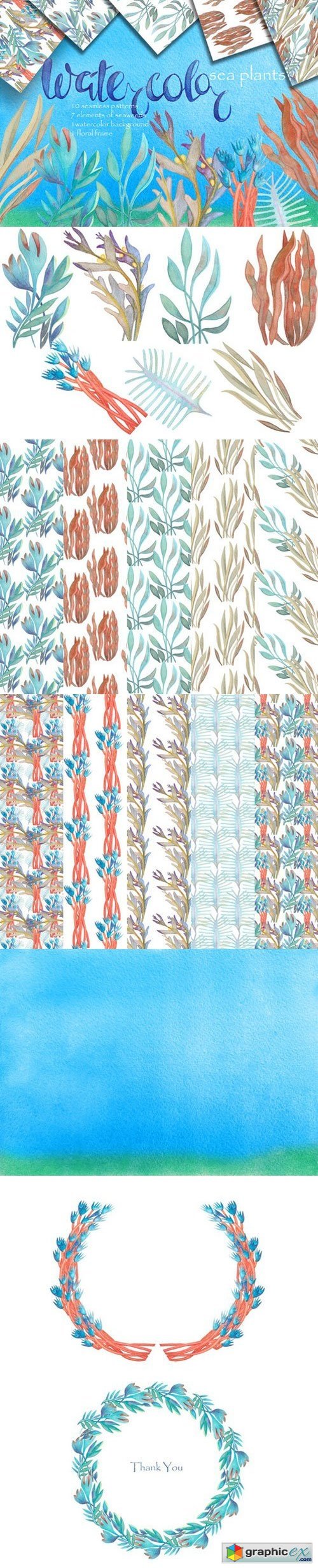 Watercolor sea plants and patterns