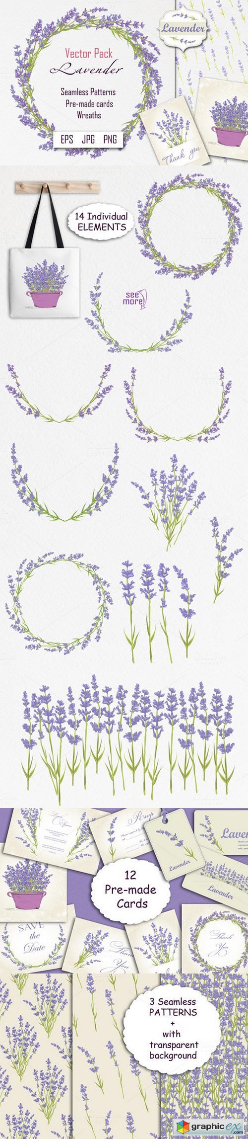 Lavender. Spring Flowers collection