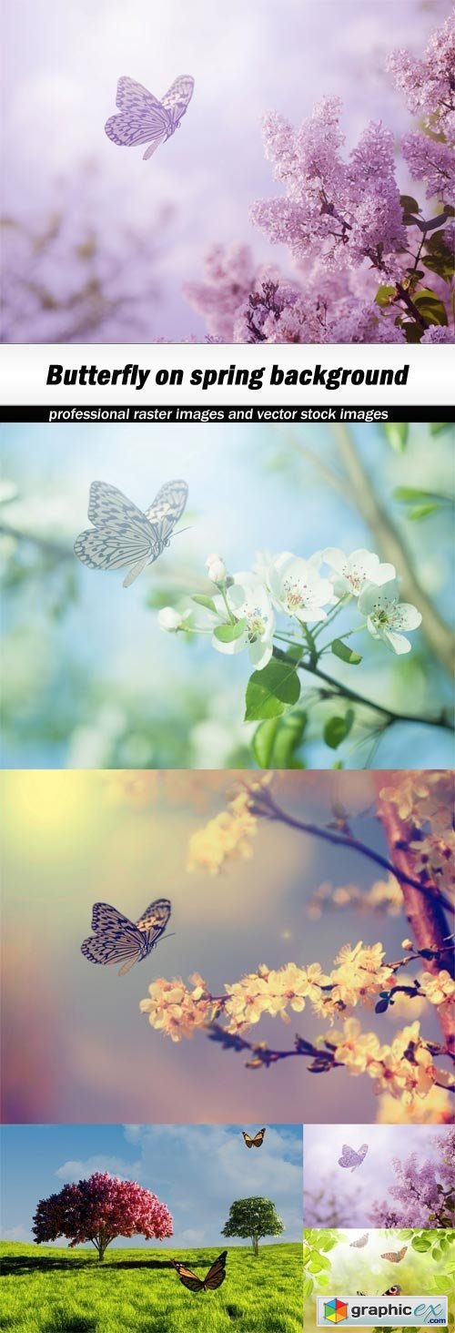 Butterfly on spring background