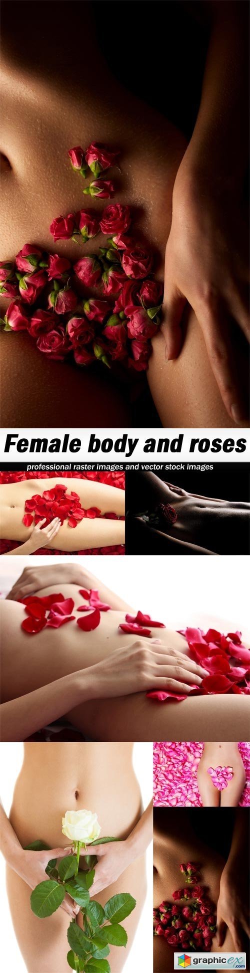 Female body and roses