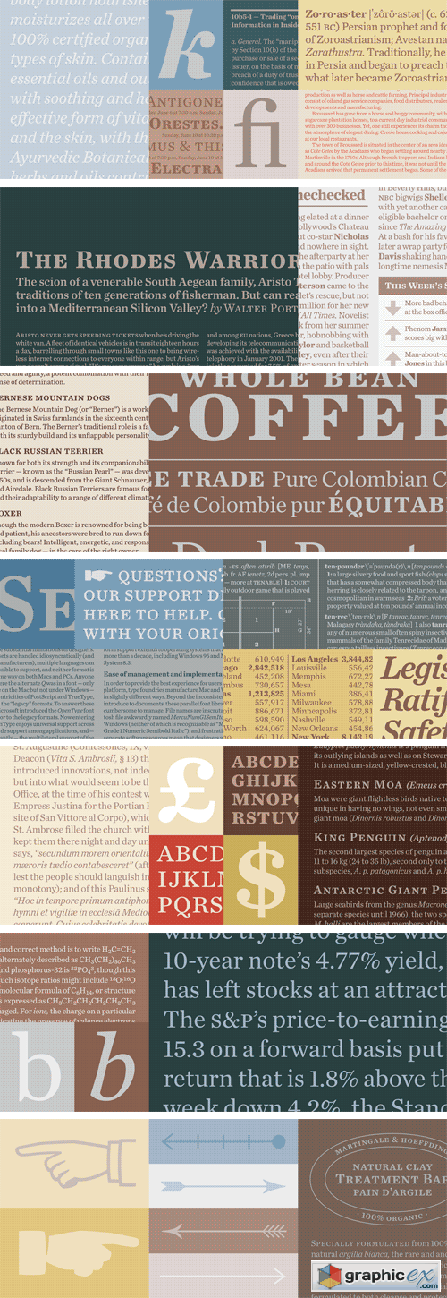 Chronicle Text Font Family