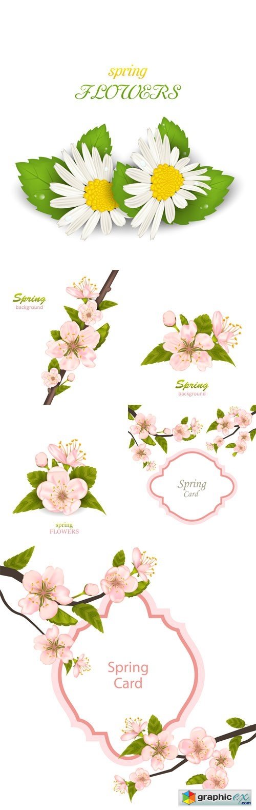 Vector Set - Spring Background with Cherry Blossom