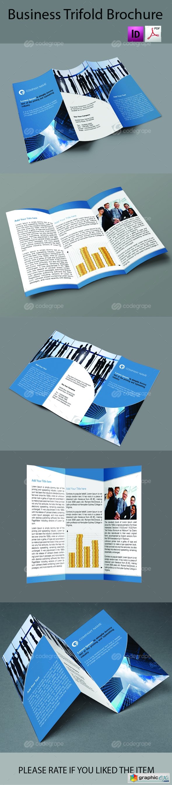 Business Tri-fold Brochure 6282