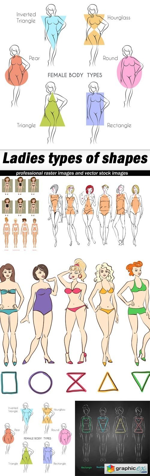 Ladies types of shapes-6xEPS