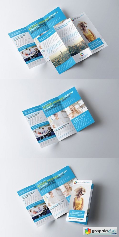 Insurance Company Brochure