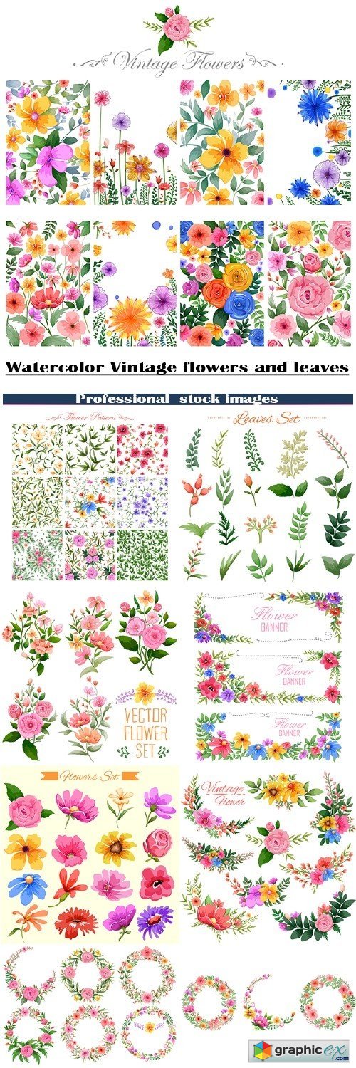 Vintage watercolor flowers and leaves