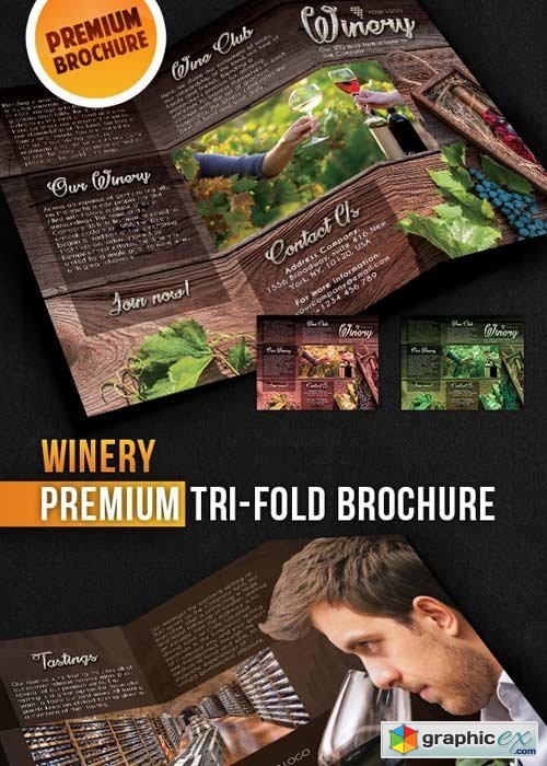 Winery Tri-Fold Brochure PSD Template