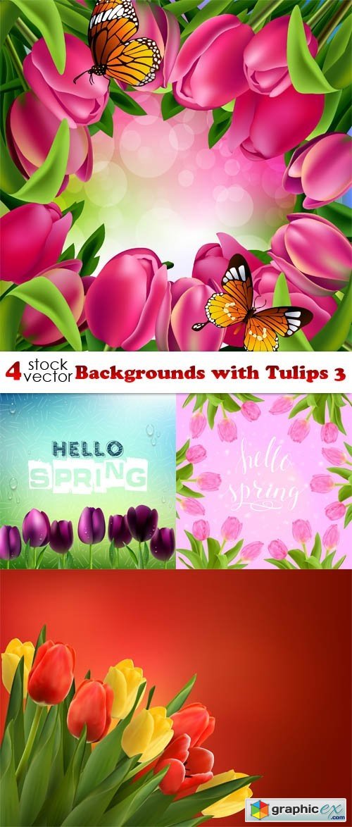 Backgrounds with Tulips 3