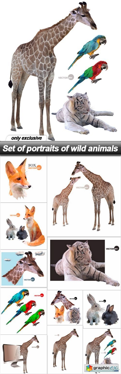 Set of portraits of wild animals - 11 EPS