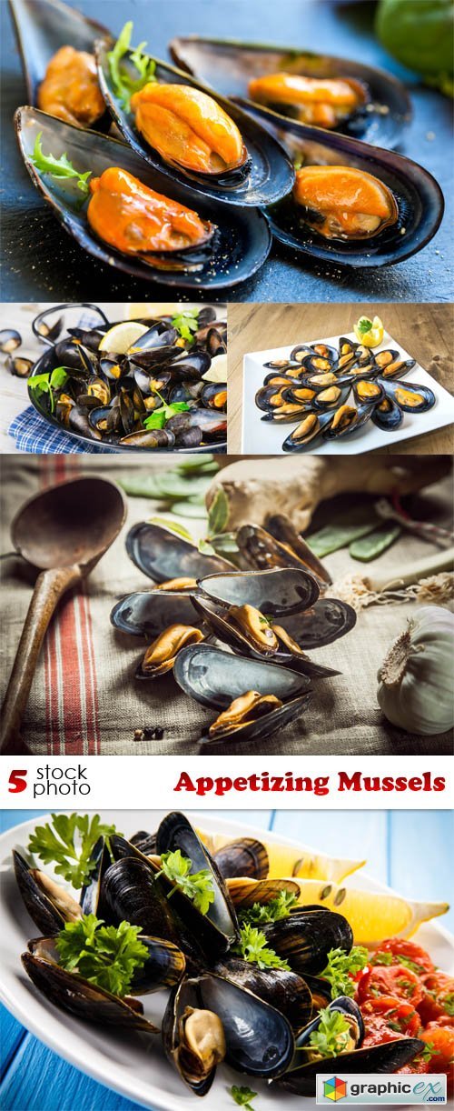 Photos - Appetizing Mussels