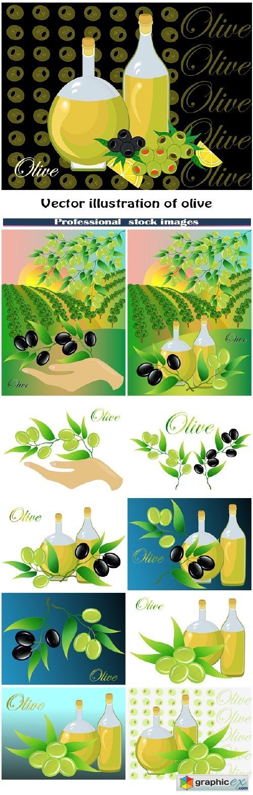 Illustration of olive