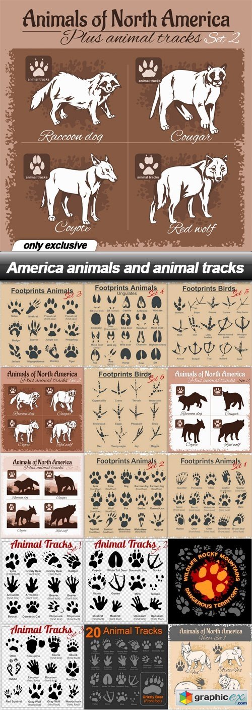 America animals and animal tracks - 15 EPS
