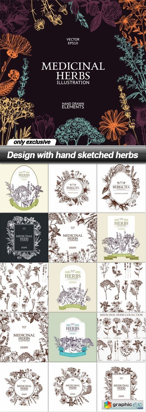 Design with hand sketched herbs - 16 EPS