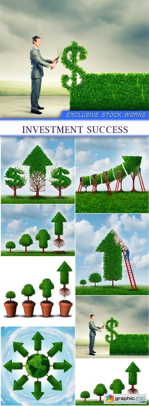 Investment Success 8X JPEG