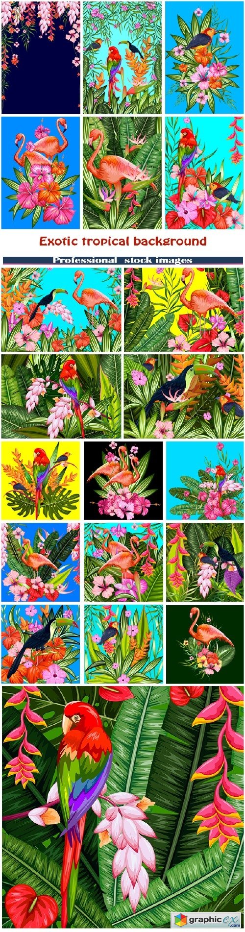 Exotic tropical background