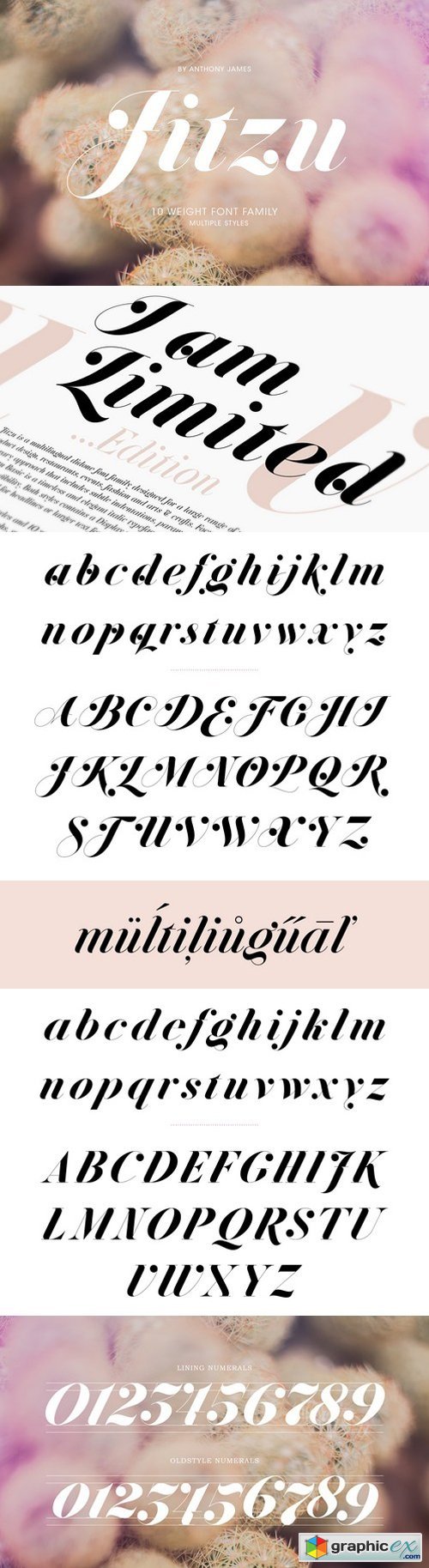Jitzu Medium Font