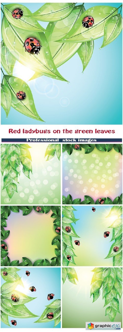 Red ladybugs on the green leaves