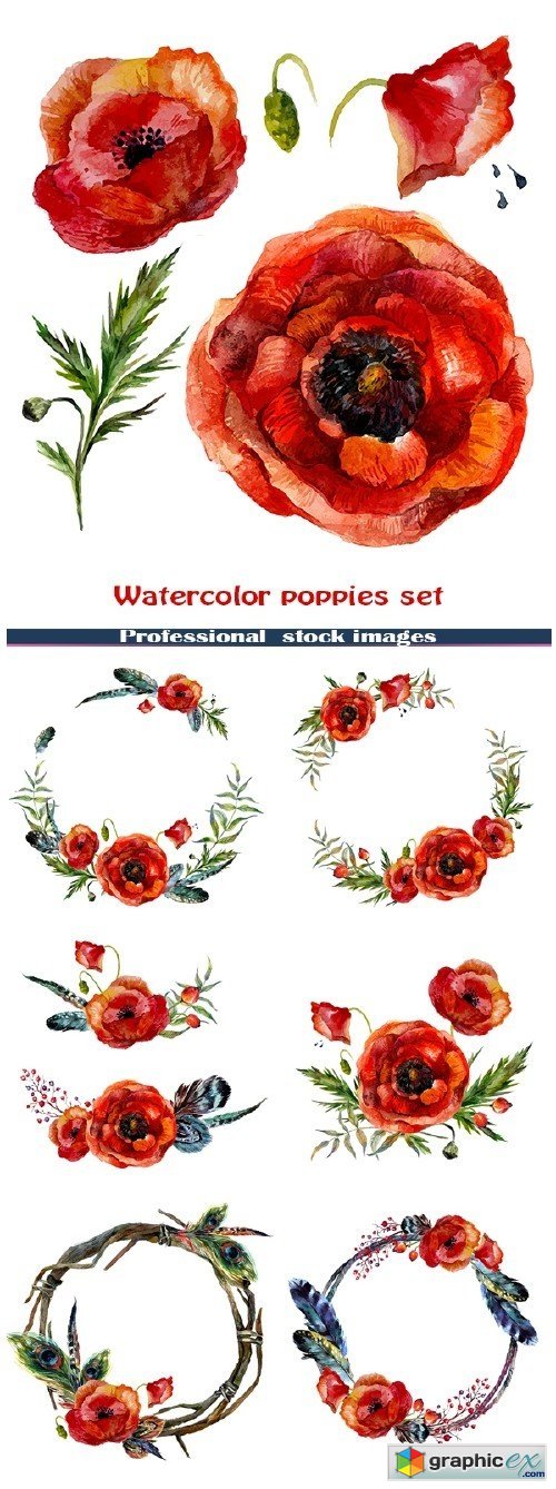 Watercolor poppies set