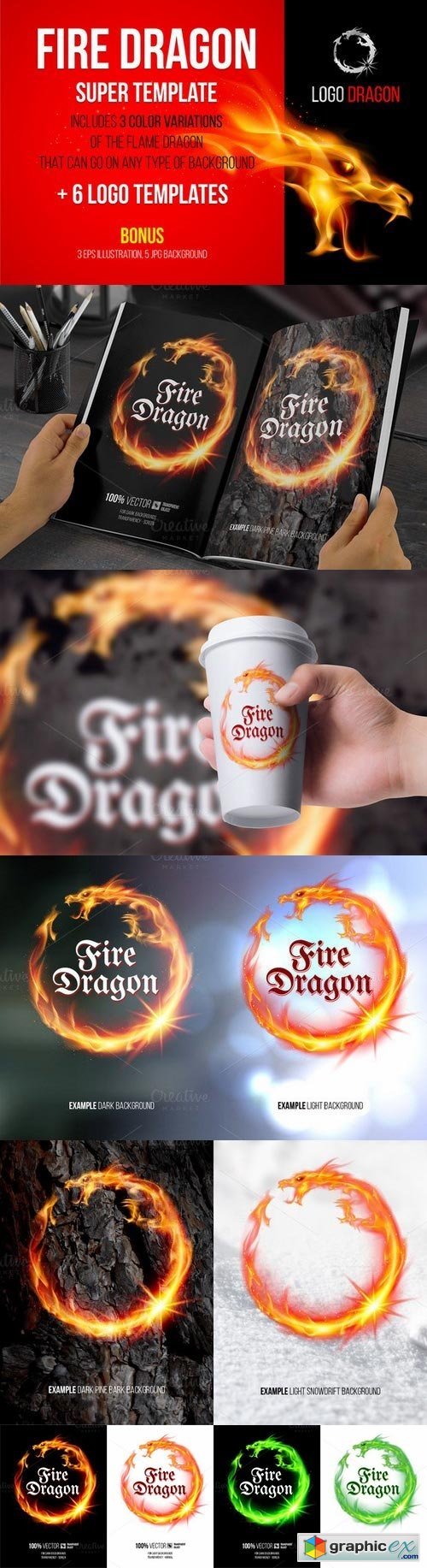 Vector Illustration of Fire Dragon