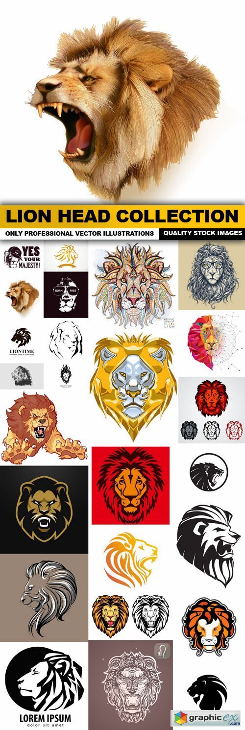 Lion Head Collection - 25 Vector