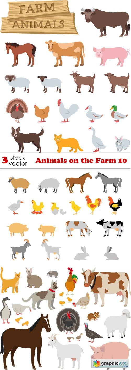 Animals on the Farm 10
