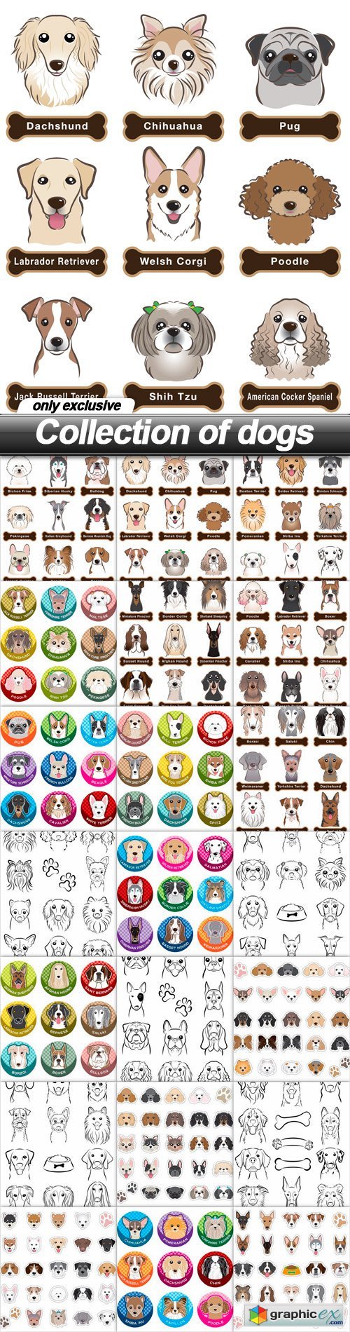 Collection of dogs - 21 EPS