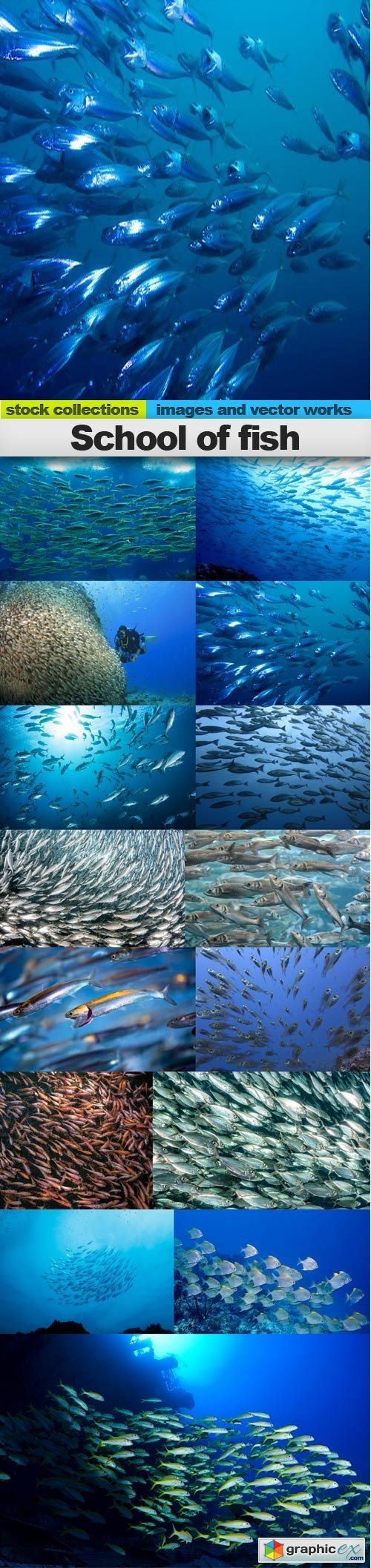 School of fish, 15 x UHQ JPEG