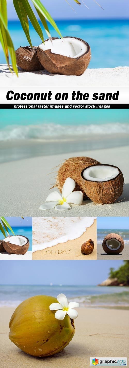 Coconut on the sand-5xJPEGs