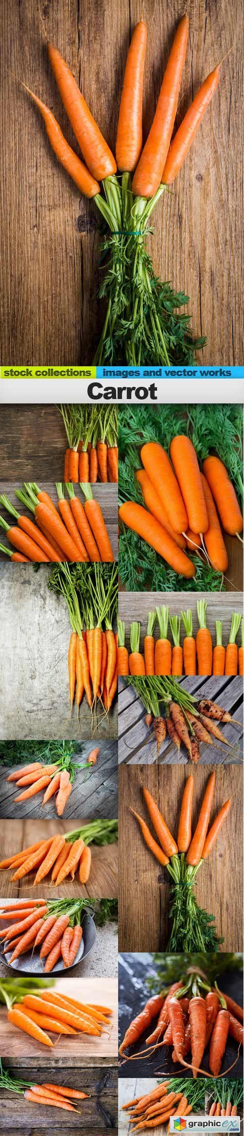 Carrot, 15 x UHQ JPEG