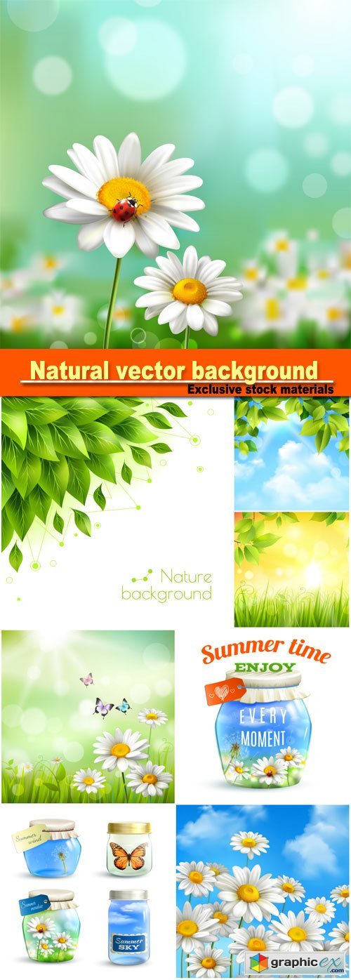 Natural vector background, flowers