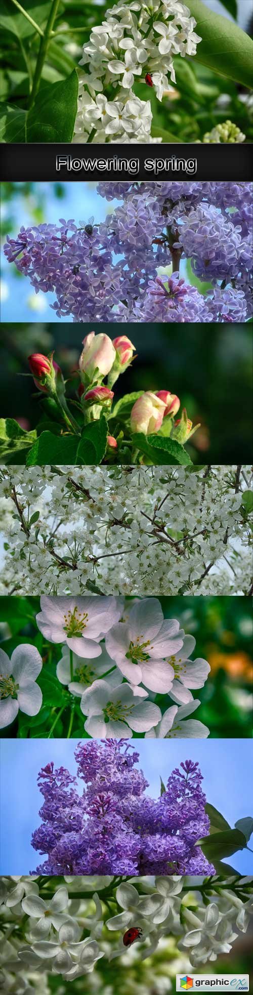 Flowering spring raster graphics