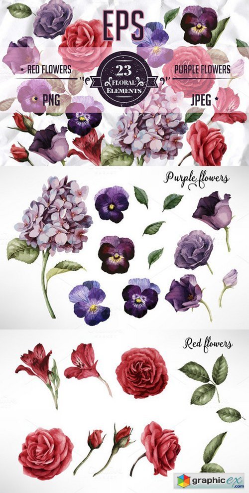 EPS Red & Purple flowers
