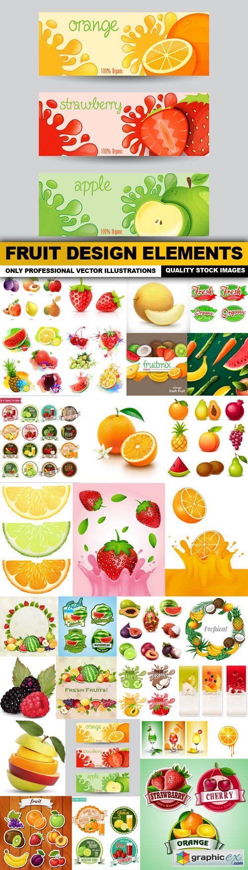 Fruit Design Elements