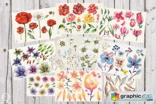 70% OFF. 8 sets of floral watercolor