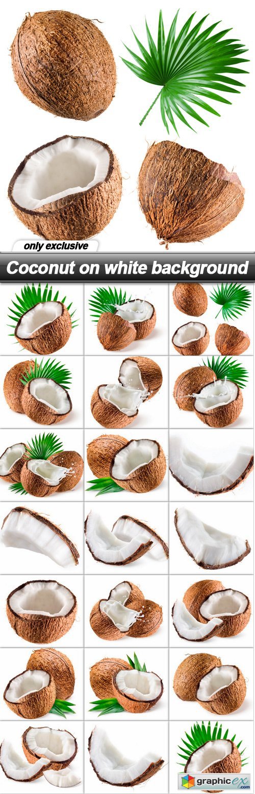 Coconut on white background - 20 UHQ JPEG