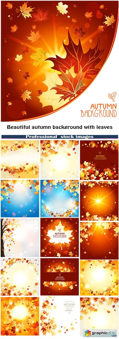 Beautiful autumn background with leaves