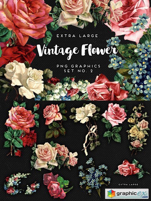 Large Vintage Flower Graphics No. 2
