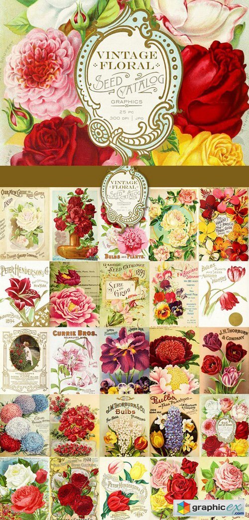 Vintage Floral Seed Catalog Graphics