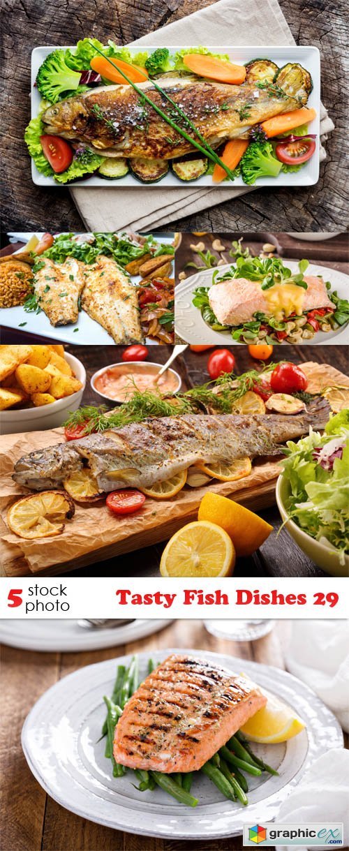Photos - Tasty Fish Dishes 29