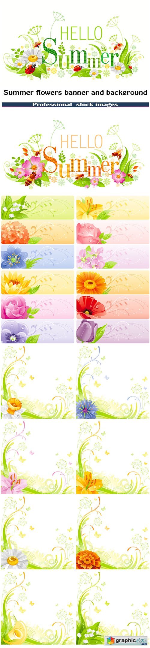 Summer flowers banner and background