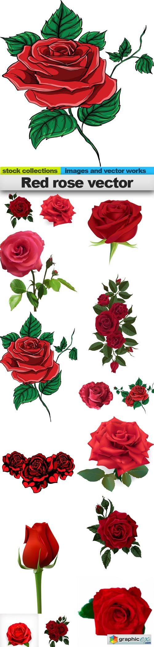 Red rose vector, 15 x EPS